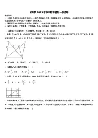 和硕县2025年中考数学最后一模试卷含解析