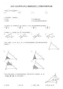 2025~2026学年10月上海普陀区初三上学期月考数学试卷（有答案解析）