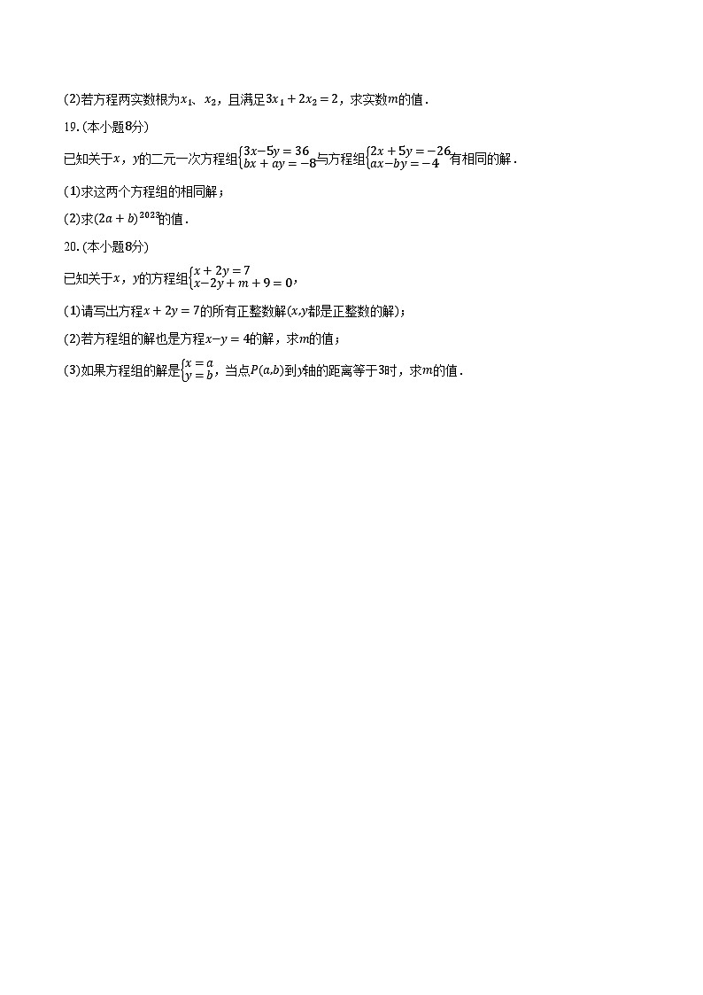 3.6二元一次方程组的解法 湘教版(2024)初中数学七年级上册同步练习(含详细答案解析)第3页