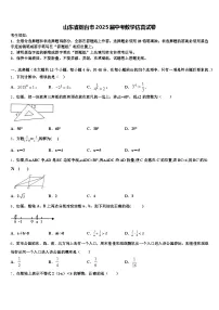 山东省烟台市2025届中考数学仿真试卷含解析