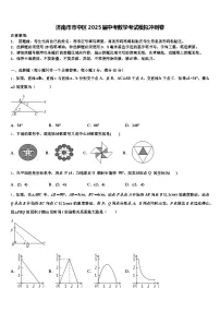 济南市市中区2025届中考数学考试模拟冲刺卷含解析