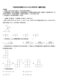 宁夏吴忠市利通区2024-2025学年中考一模数学试题含解析