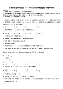 广西壮族北海市银海区2024-2025学年中考考前最后一卷数学试卷含解析