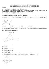 湖南省益阳市沅江市2024-2025学年中考数学模拟试题含解析