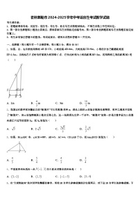 霍林郭勒市2024-2025学年中考适应性考试数学试题含解析