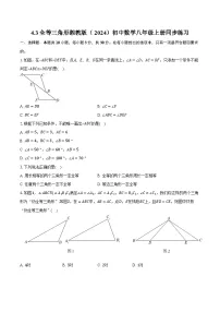 湘教版（2024）八年级上册（2024）4.3 全等三角形精品同步测试题