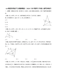 初中湘教版(2024)4.6 线段的垂直平分线优秀练习