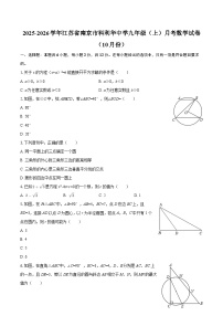 2025-2026学年江苏省南京市科利华中学九年级(上)月考数学试卷(10月份)-自定义类型