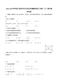 2024-2025学年四川省泸州市江阳区梓橦路学校八年级（下）期中数学试卷-自定义类型