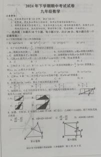 湖南省武冈市2024—-2025学年九年级上学期期中考试数学试题
