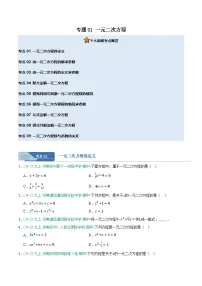 专题01 一元二次方程 9大高频考点(期中真题汇编,河南专用人教版)九年级数学上学期 含答案