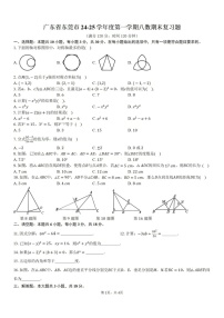 2024-2025学年广东省东莞市八年级上学期期末考试数学试卷（含答案）