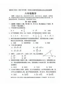 2024-2025学年广东省深圳市福田区八年级上学期期末考试数学试卷（含答案）