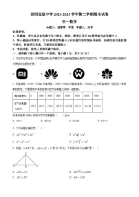 精品解析：广东省深圳市深圳高级中学（集团）2024-2025学年七年级下学期期末数学试卷含答案