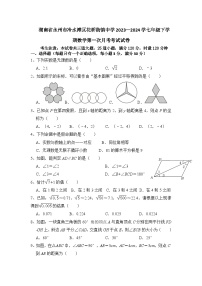 湖南省永州市冷水滩区花桥街镇中学2023—2024学七年级下学期第一次月考数学试卷