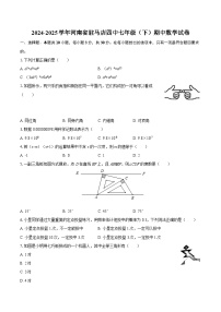 2024-2025学年河南省驻马店四中七年级（下）期中数学试卷-自定义类型