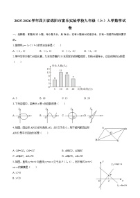 2025-2026学年四川省绵阳市富乐实验学校九年级（上）入学数学试卷-自定义类型