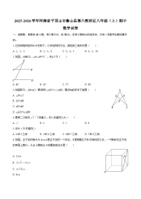 2025-2026学年河南省平顶山市鲁山县第六教研区八年级（上）期中数学试卷-自定义类型