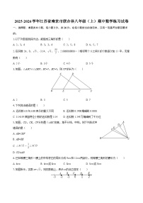 2025-2026学年江苏省南京市联合体八年级（上）期中数学练习试卷-自定义类型