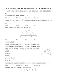 2025-2026学年江苏省南京市联合体八年级(上)期中数学练习试卷-自定义类型