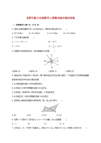 2025_2026学年（北师大版）七年级数学上册期末综合强化训练 [有答案]
