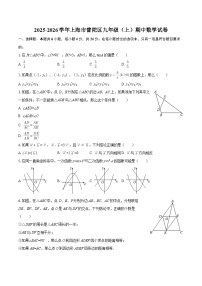 2025-2026学年上海市普陀区九年级(上)期中数学试卷-自定义类型
