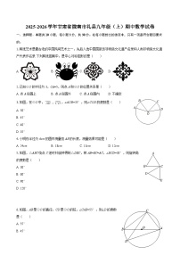 2025-2026学年甘肃省陇南市礼县九年级（上）期中数学试卷-自定义类型