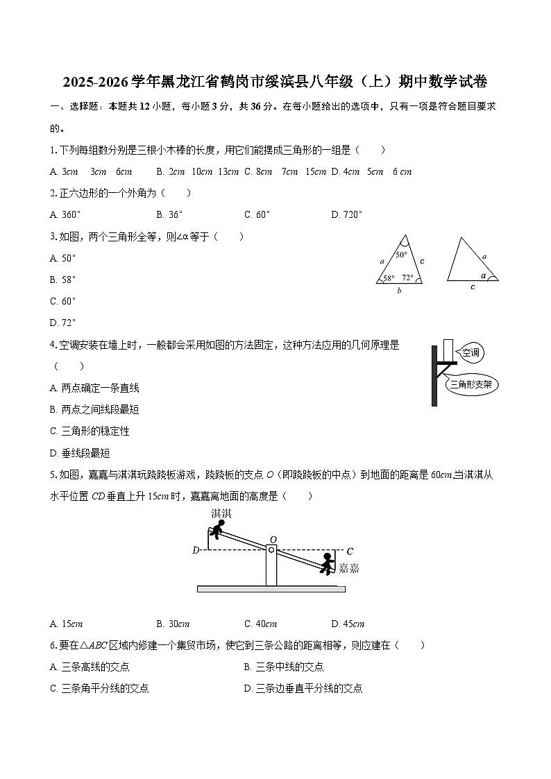2025-2026学年黑龙江省鹤岗市绥滨县八年级(上)期中数学试卷-自定义类型第1页