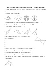 2025-2026学年甘肃省定西市临洮县八年级（上）期中数学试卷-自定义类型