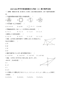2025-2026学年甘肃省陇南市九年级（上）期中数学试卷-自定义类型