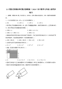 数学七年级上册(2024)代数式的概念和列代数式精品当堂检测题