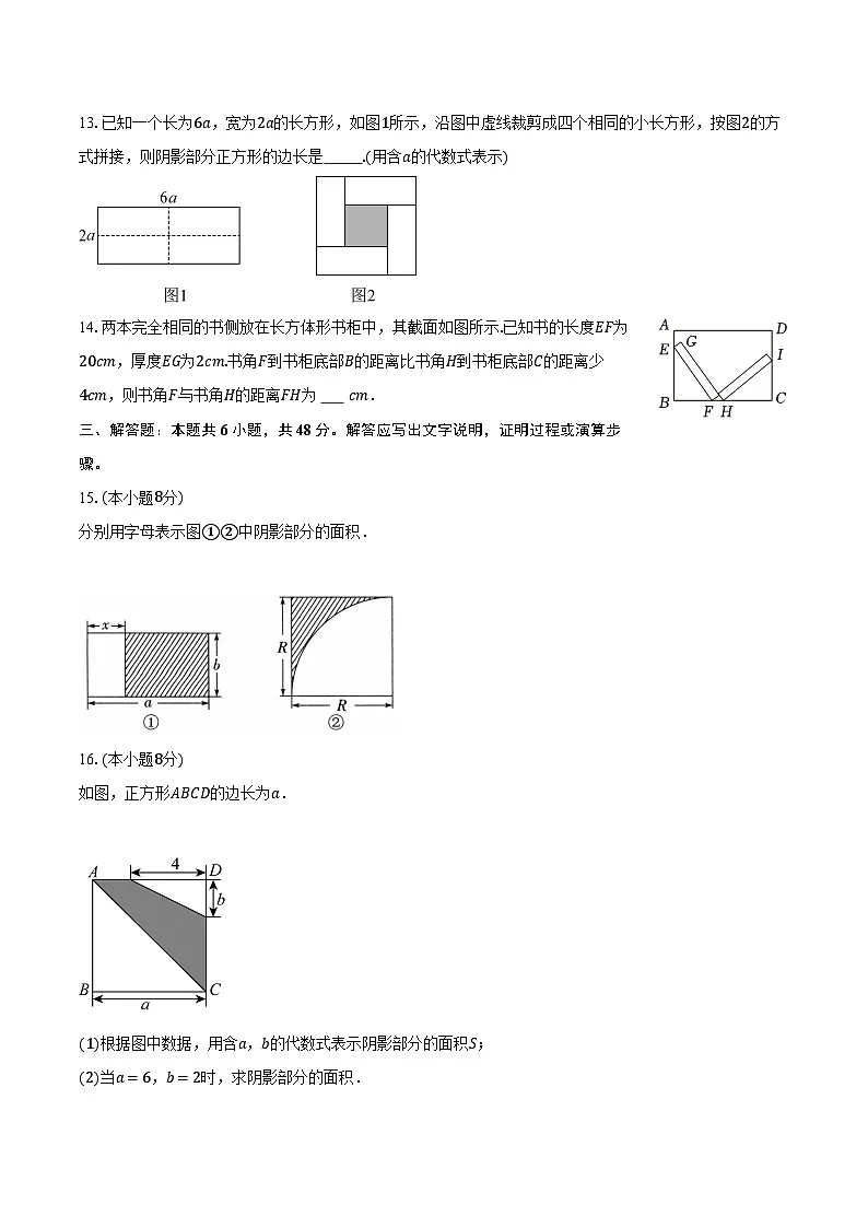 2.1代数式的概念和代数式 湘教版(2024)初中数学七年级上册同步练习(含详细答案解析)第3页