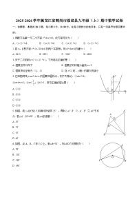 2025-2026学年黑龙江省鹤岗市绥滨县九年级（上）期中数学试卷-自定义类型