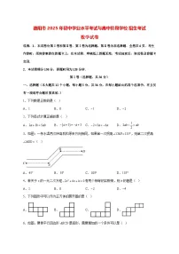 【中考数学】2025年四川省德阳市试卷【附解析】