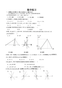 安徽省合肥市五十中学西校2025-2026学年上学期期中八年级数学试卷