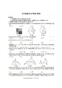 安徽省淮北市五校联考2024-2025学年九年级上学期1月期末数学试题