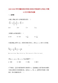 2025—2026学年安徽省安庆市望江县部分学校联考七年级上册10月月考数学试题-含解析