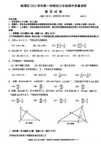 上海市杨浦区2025-2026学年上学期九年级期中数学试题