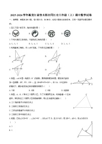 2025-2026学年黑龙江省佳木斯市同江市八年级(上)期中数学试卷-自定义类型