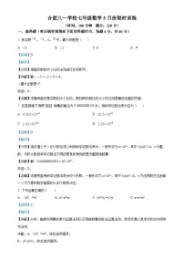 安徽省合肥市蜀山区合肥八一学校七年级下学期5月月考数学试题（解析版）-A4