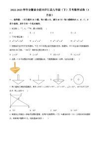 安徽省合肥市庐江县九年级下学期3月月考数学试题（原卷版）-A4