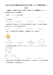 安徽省合肥市庐江县九年级下学期3月月考数学试题（原卷版）-A4
