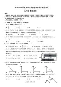 广东省深圳市南山区育才教育集团2025-2026学年九年级上学期期中考试数学试题