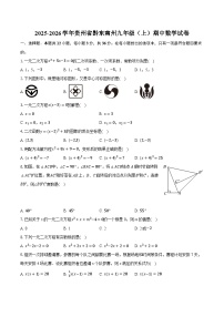 2025-2026学年贵州省黔东南州九年级（上）期中数学试卷