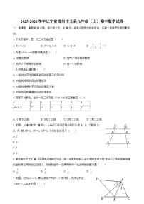 2025-2026学年辽宁省锦州市义县九年级（上）期中数学试卷-自定义类型