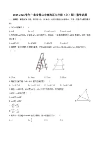 2025-2026学年广东省佛山市南海区九年级（上）期中数学试卷-自定义类型