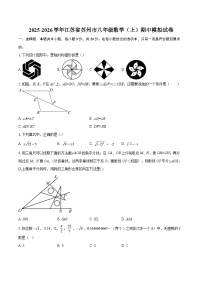 2025-2026学年江苏省苏州市八年级数学（上）期中模拟试卷-自定义类型