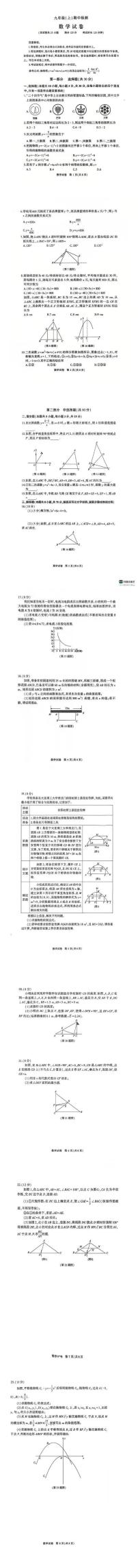 辽宁省大连市高新区2025-2026学年上学期九年级数学期中试卷（含答案）