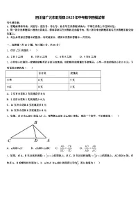 四川省广元市旺苍县2025年中考数学四模试卷含解析