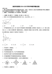 保定市安新县2024-2025学年中考数学模拟试题含解析